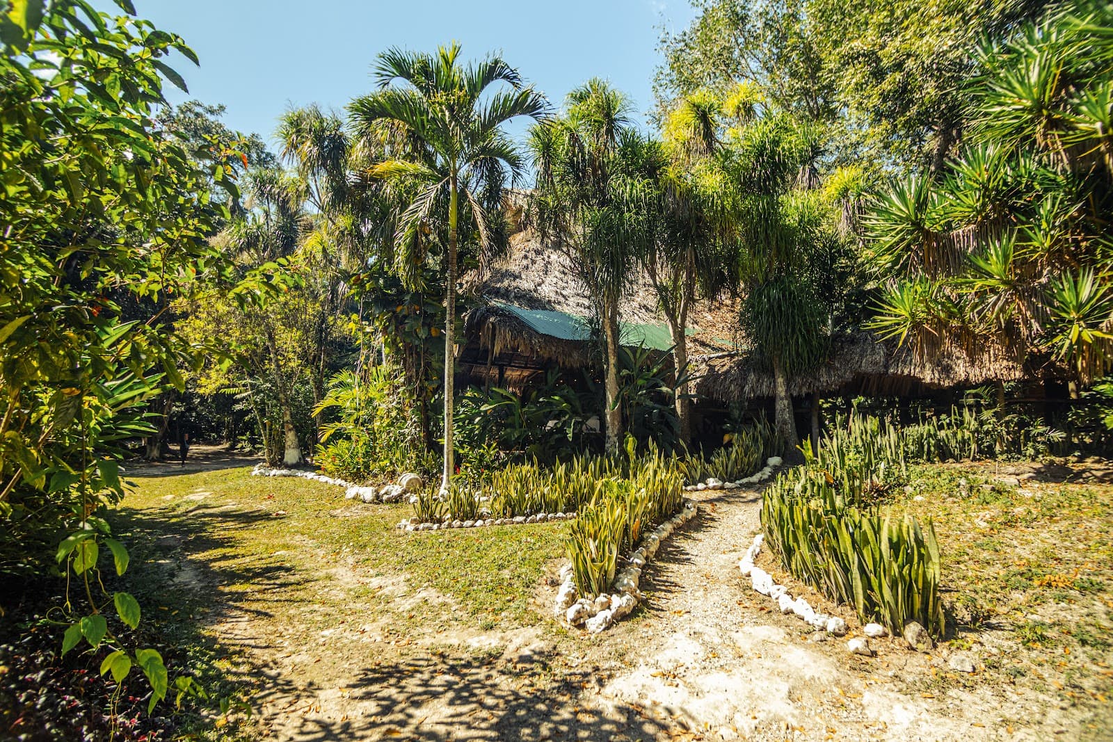 Comer en Tikal