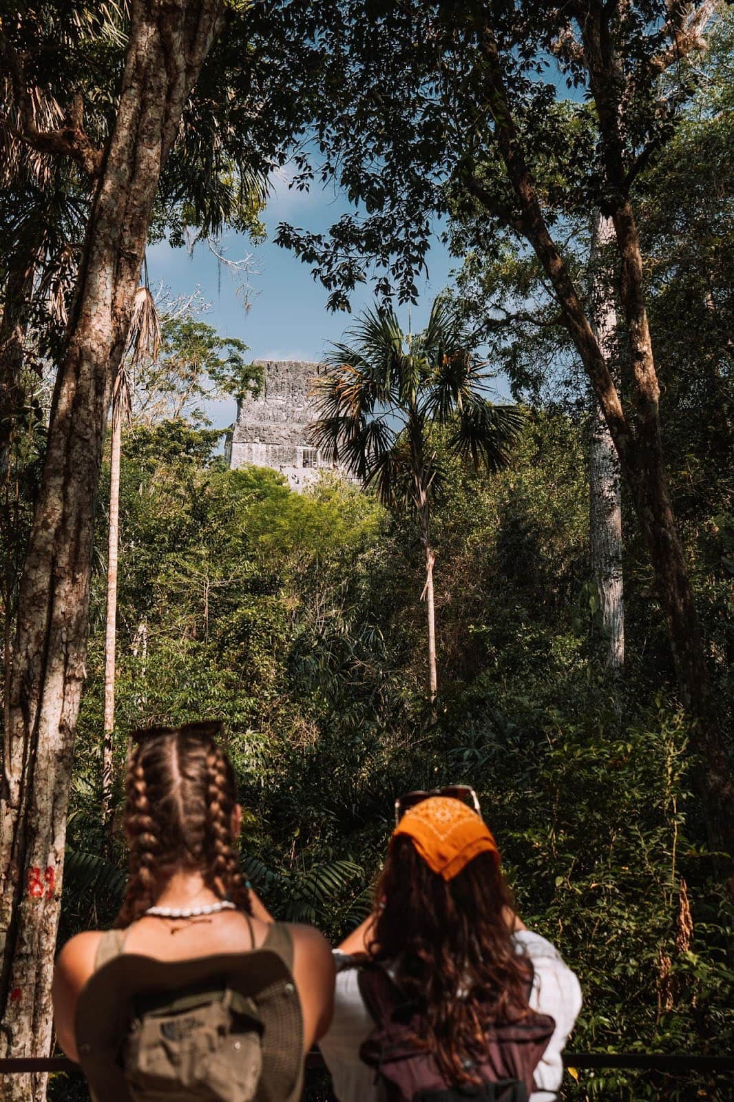 Paquetes